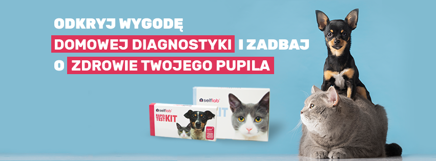 Testy weterynaryjne na choroby psów i kotów