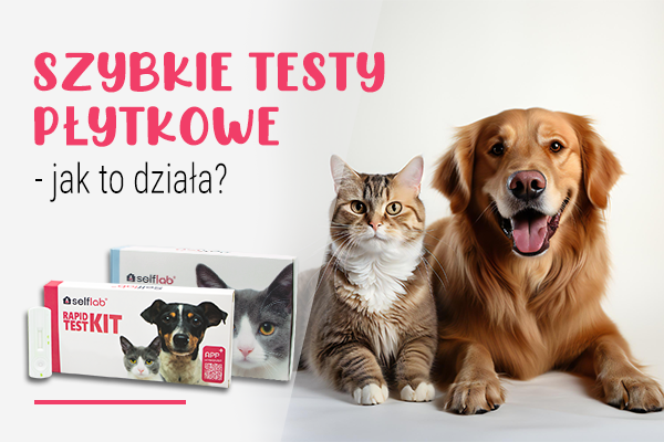 testy płytkowe dla psów testy płytkowe dla kotów